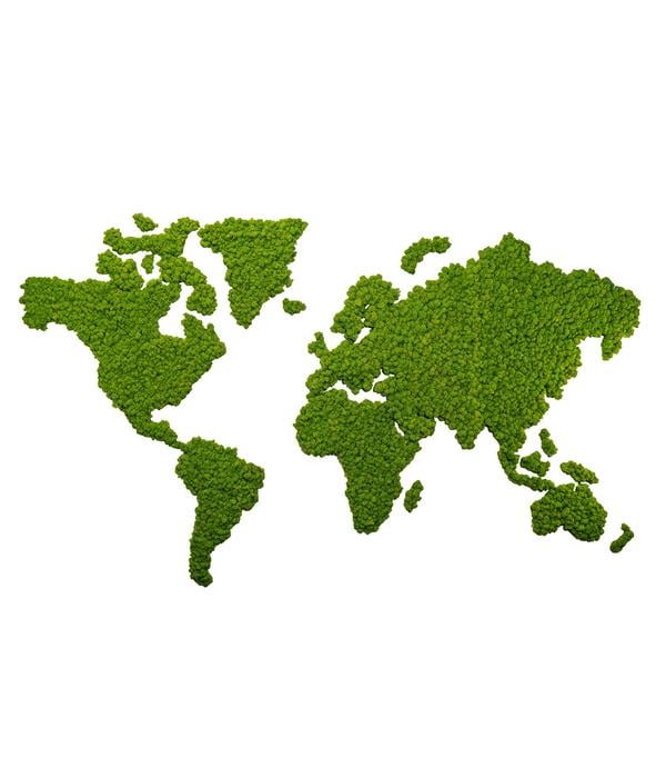 styleGREEN Weltkarte aus Islandmoos,