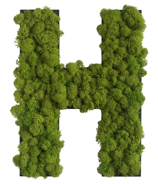 styleGREEN Buchstaben aus Islandmoos, ca. H25