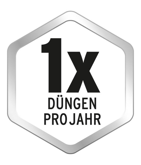 Substral® Langzeit-Depotdünger Rosen &