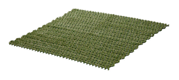 Græshybrid 1 × 1 meter - Garden