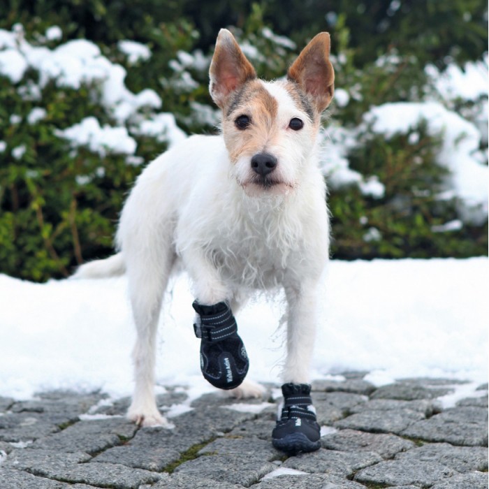 Bottes de protection Walker Active