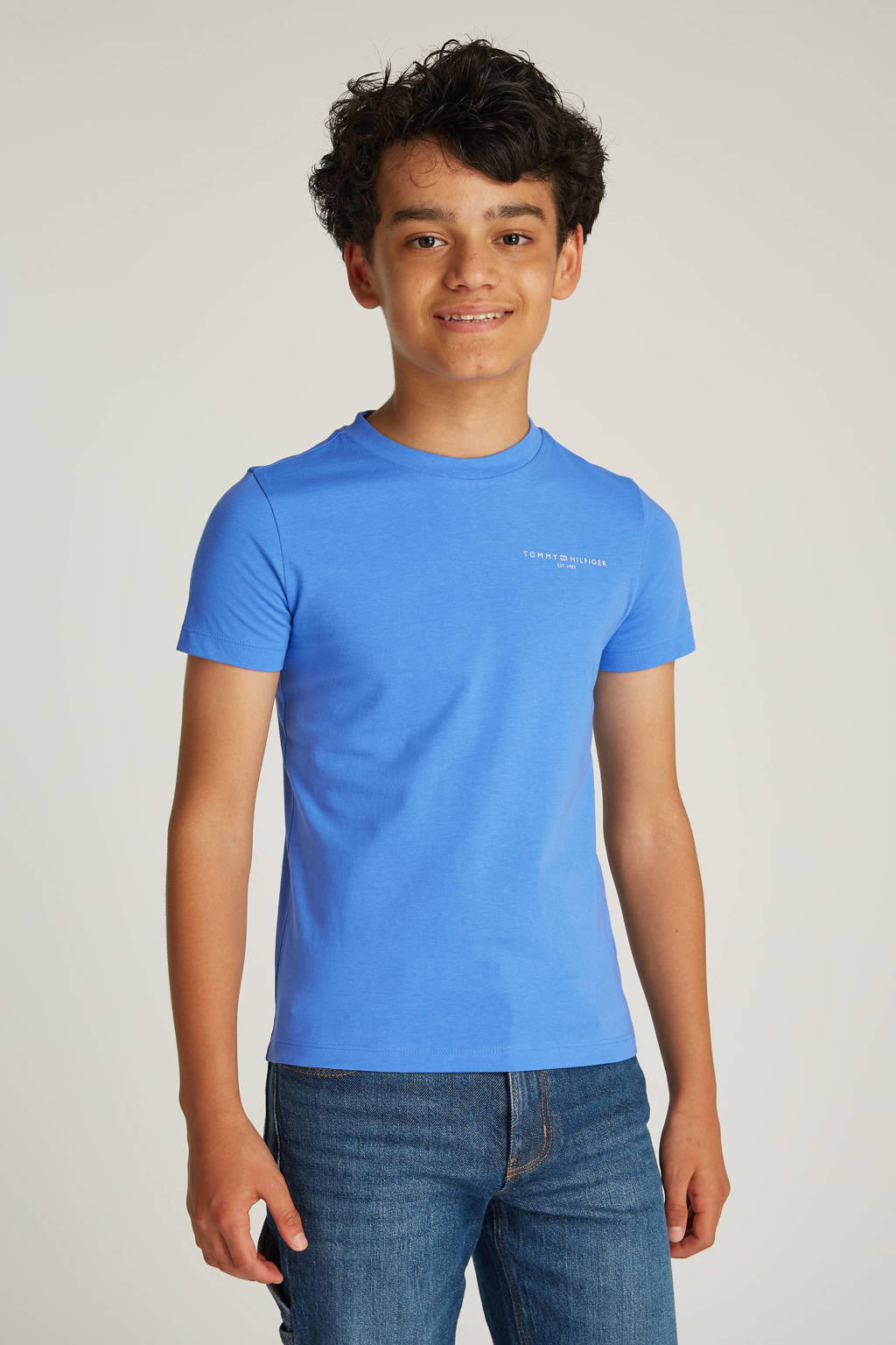 Tommy Hilfiger t-shirt blauw