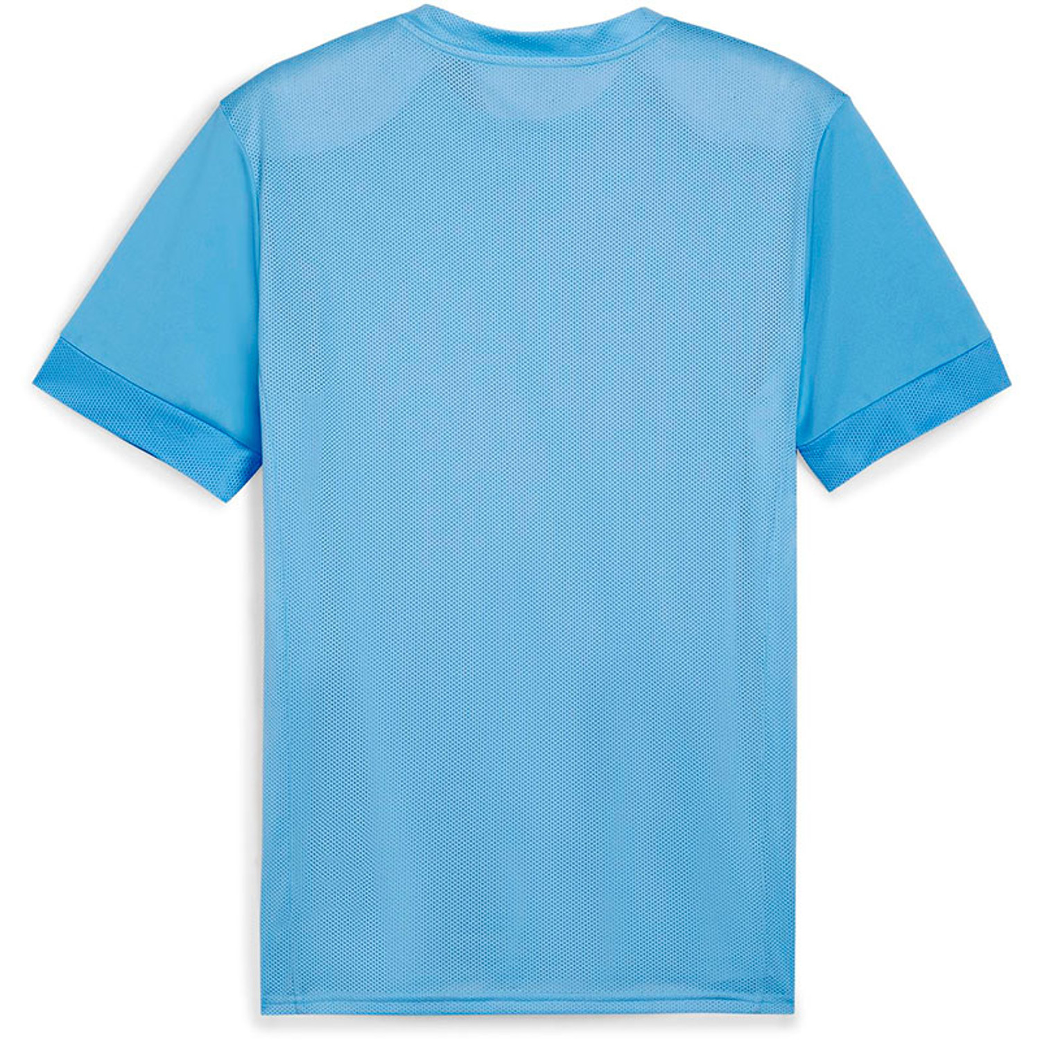 Puma GOAL Training Shirt