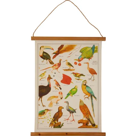 Die Spiegelburg Historische Bildtafel - Illustrierte Tierwelt (ca. 45x60 cm)