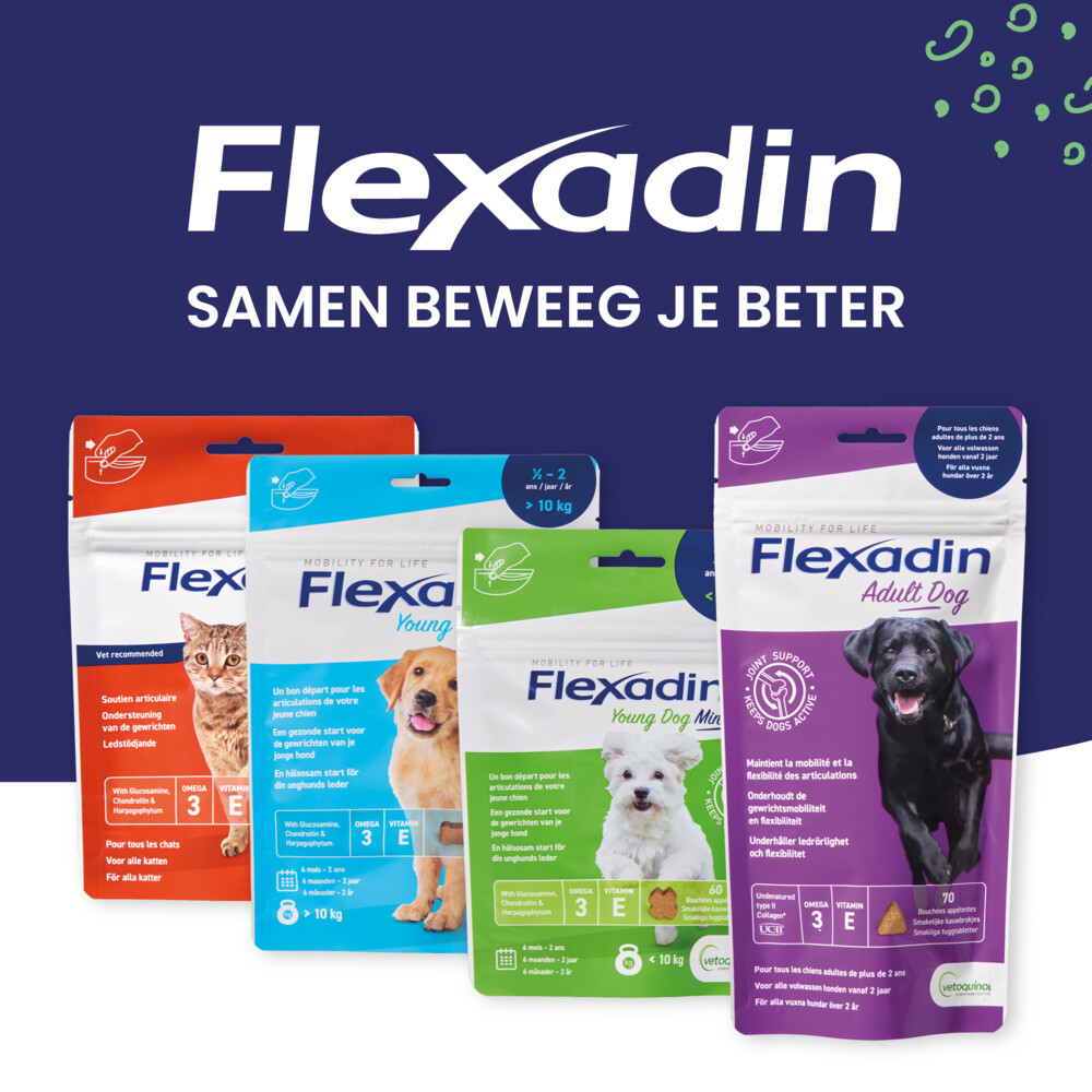Flexadin Cat Kauwbrokjes60 stuks