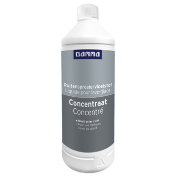 GAMMA ruitensproeier winter concentraat 1 liter