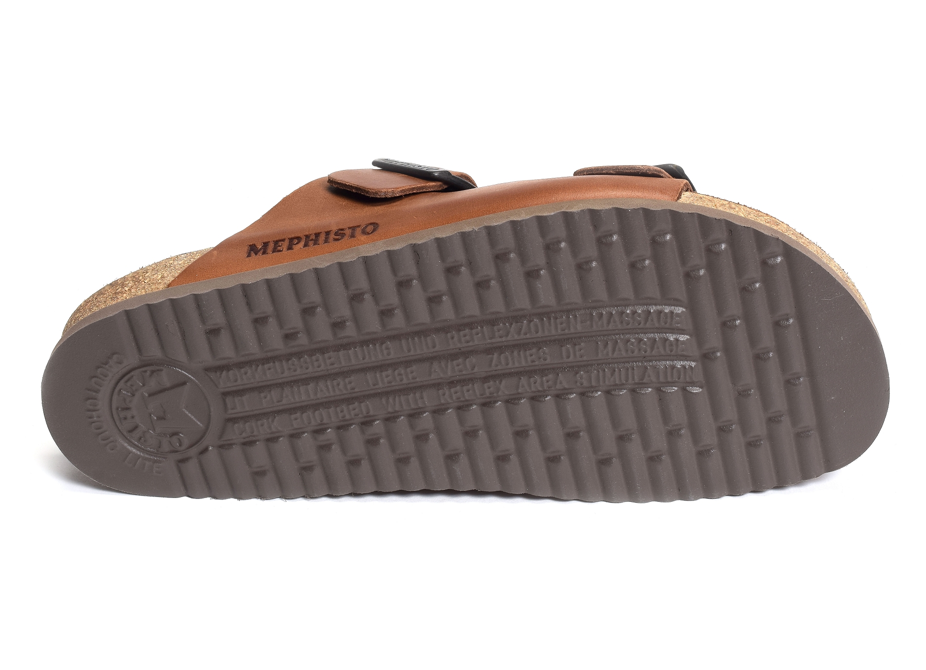 Nerio camel