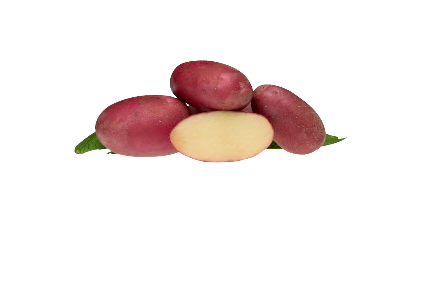 Potato Evolution 2,5kg Settepotet Evolution 2,5 kg