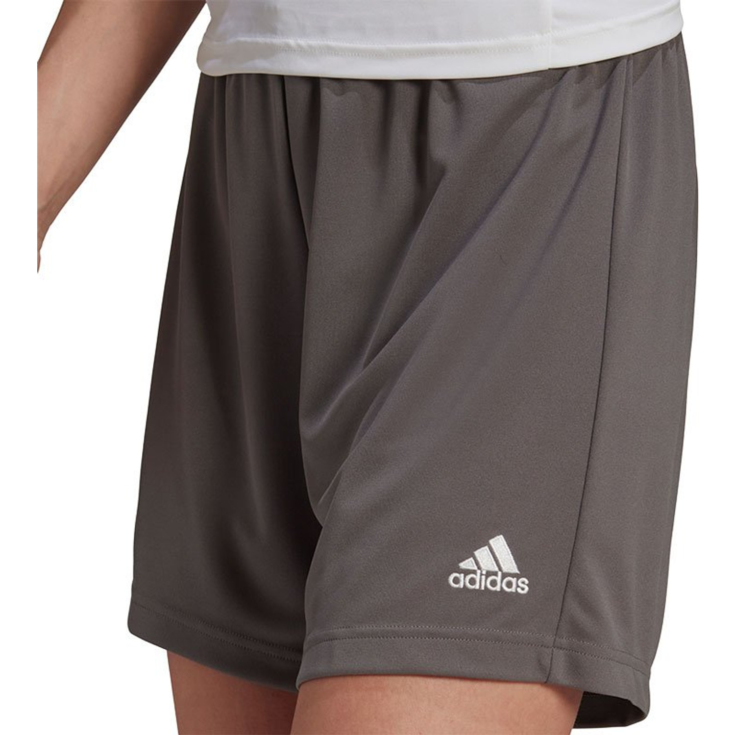adidas Entrada 22 Training Short Dames