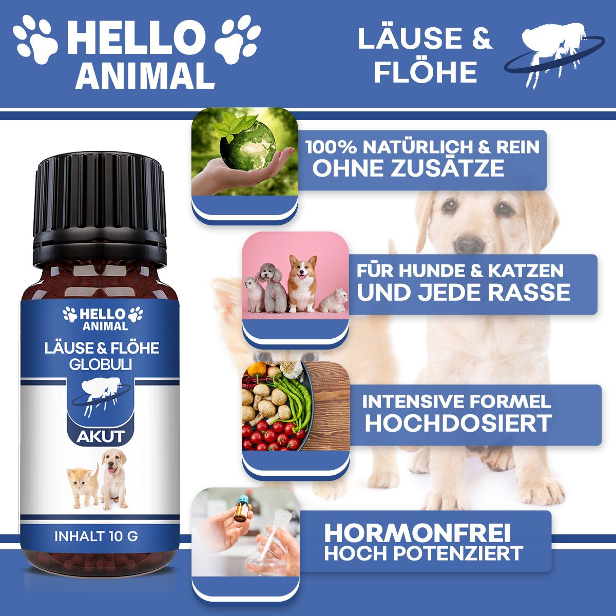 Hello Animal® | Läuse & Flöhe Kügelchen für Hund & Katze