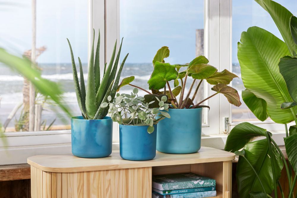 Elho bloempot The Ocean Collection blauw D 13,8 H 12,5 cm