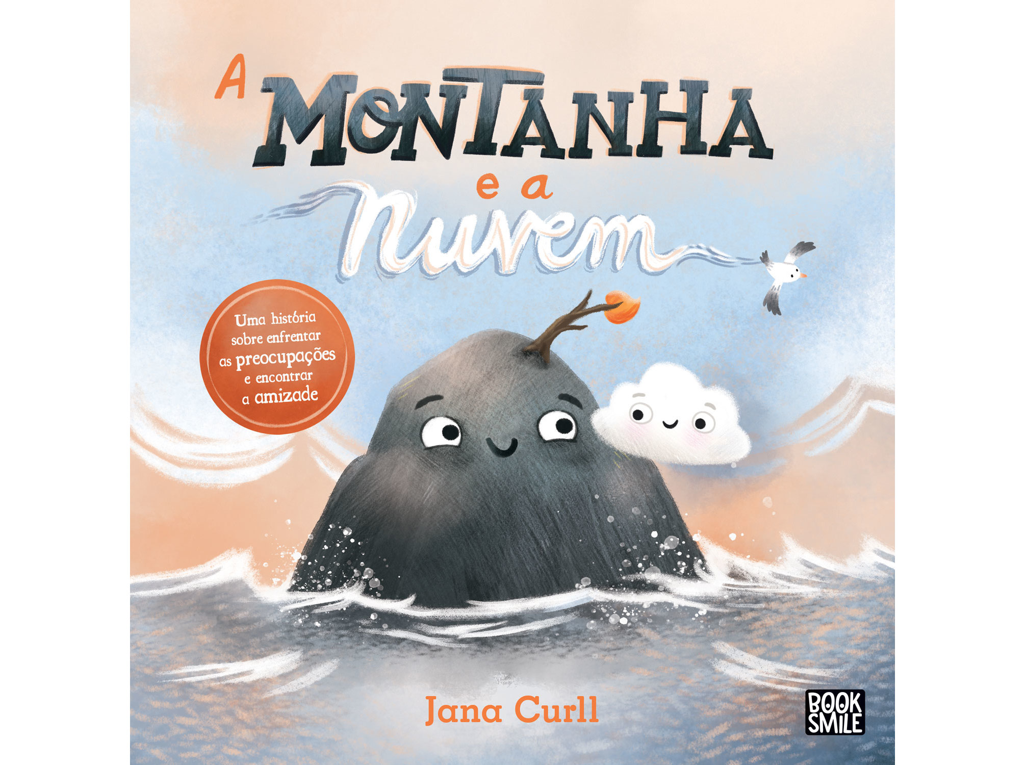LIVRO A MONTANHA E A NUVEM