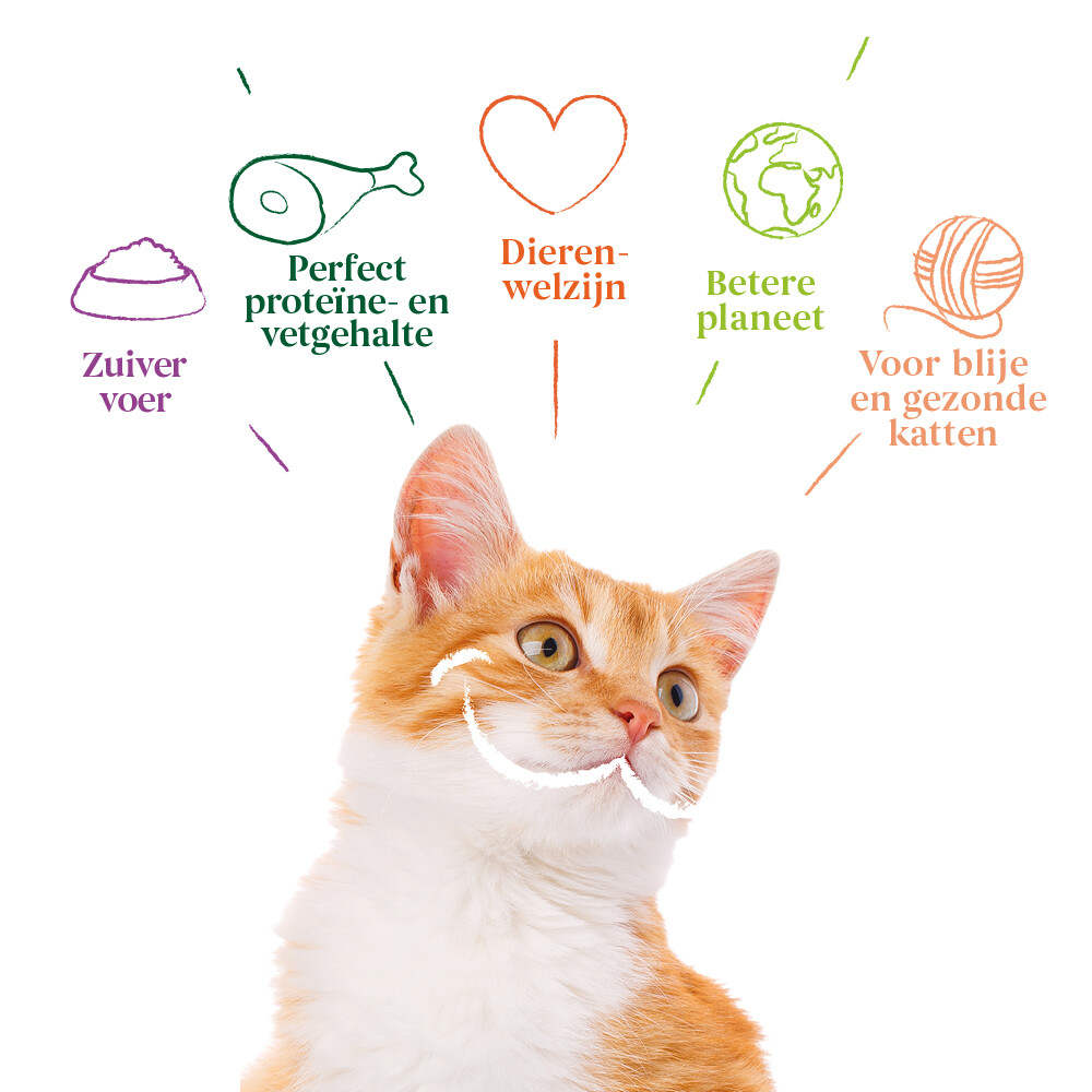 12x Yarrah Bio Kattenvoer Chunks Kip & Kalkoen405 gr