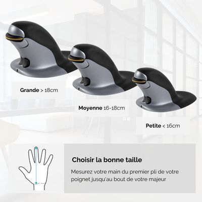 Fellowes - Souris sans fil ambidextre - Grand