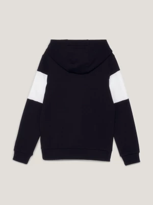 Moletom com capuz Essential Color Blocked Logo