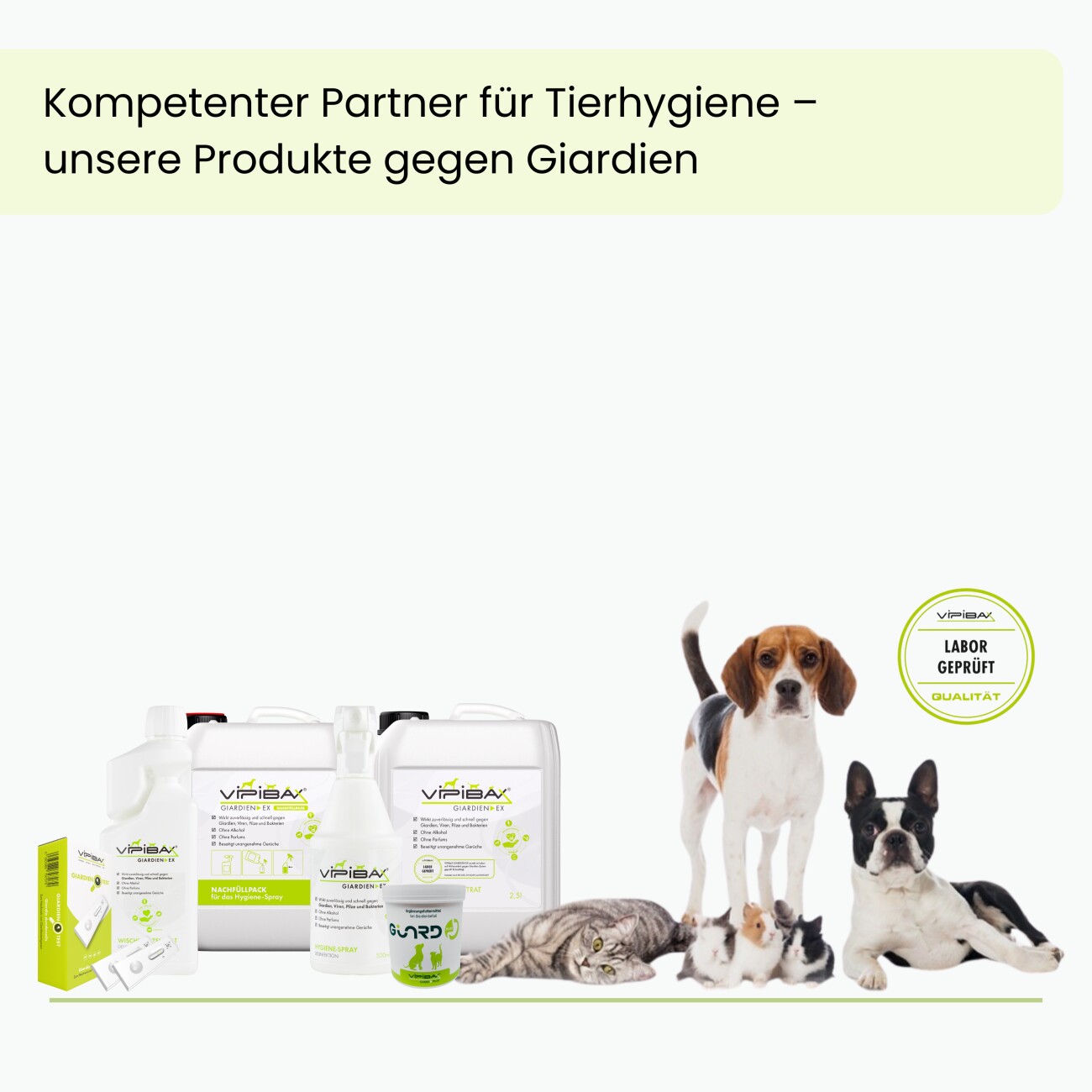 ViPiBaX Giardien EX ® Hygiene-Spray Nachfüllpack 2.5 Liter