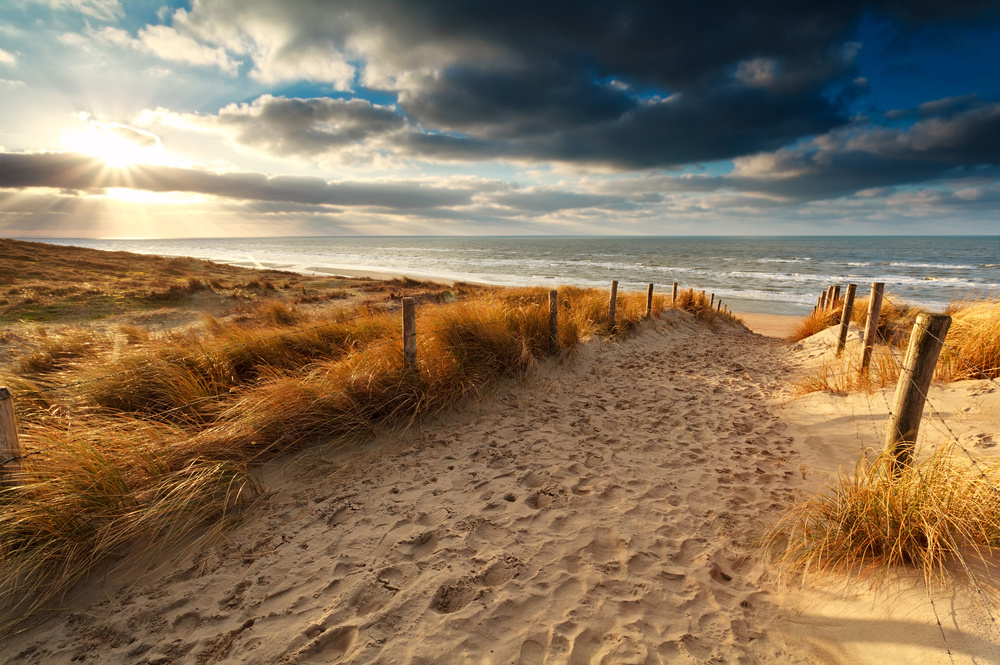 Akustikbild SANDWEG ZUM MEER 3 80x120cm, 7kg