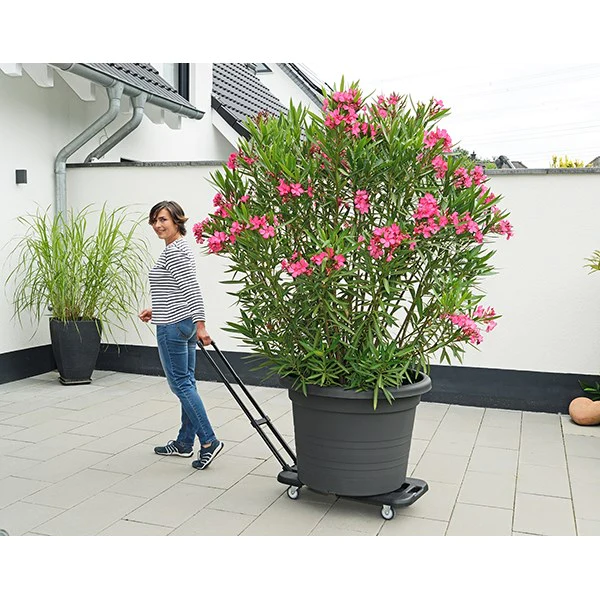 Chariot de transport extensible Wenko by Maximex