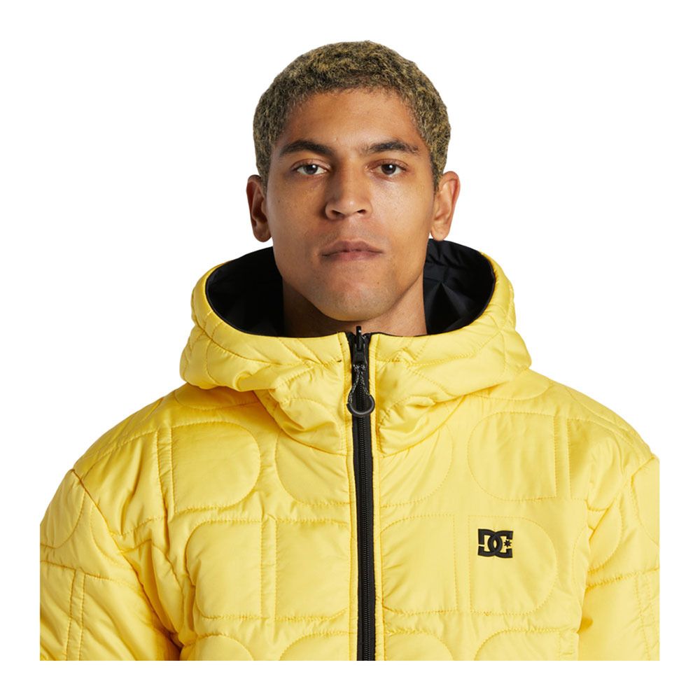 DC Shoes NEXUS - Veste ski Homme black