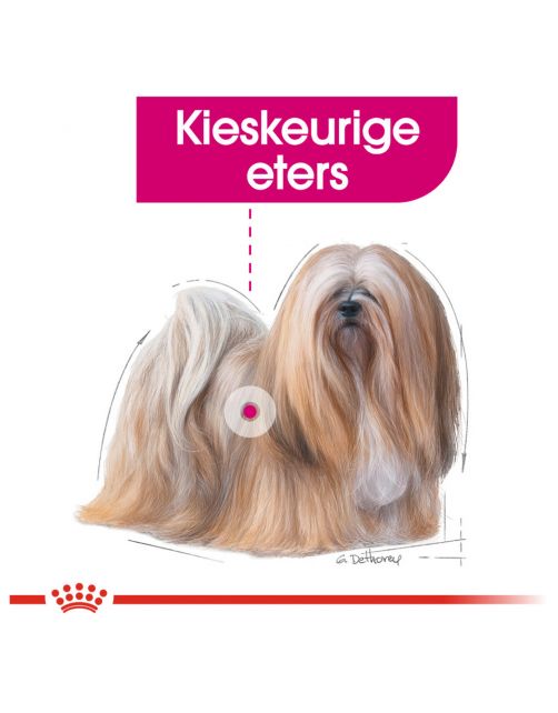 Royal Canin Exigent Mini - Hondenvoer