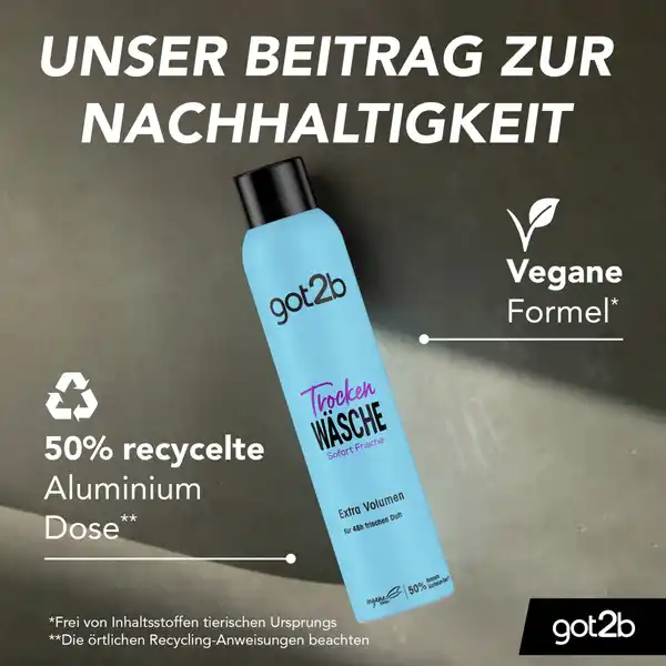 Trockenshampoo Trocken Wäsche Extra Volumen
