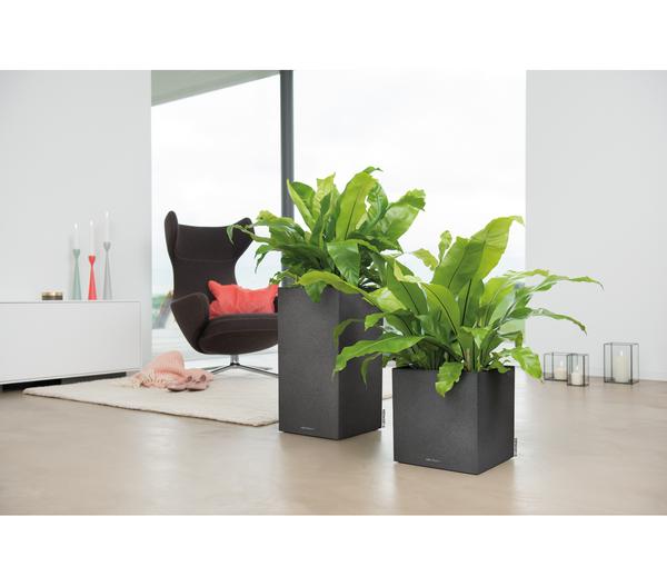 LECHUZA® Kunststoff-Topf Canto Stone,