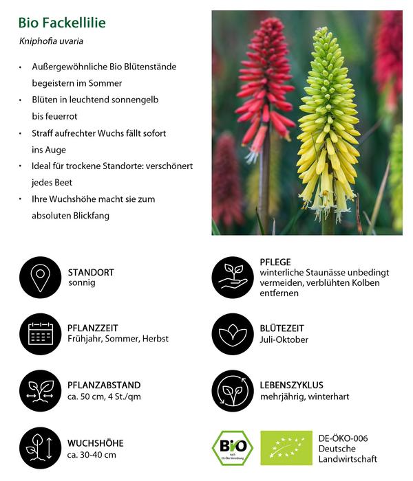 Bio Stauden-Set Feuerwerk im Garten, Landlust
