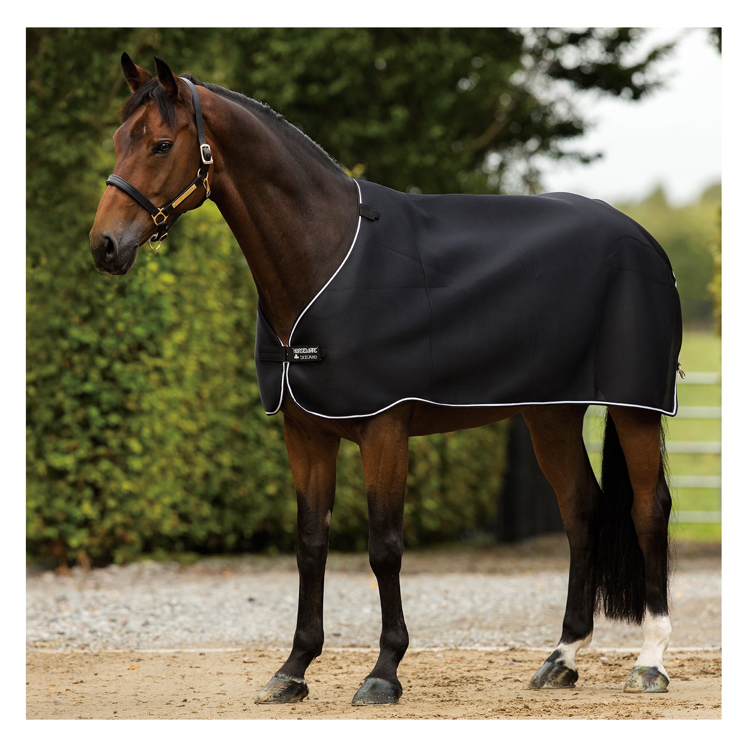 HORSEWARE Unterdecke RAMBO Airmax Liner  - black