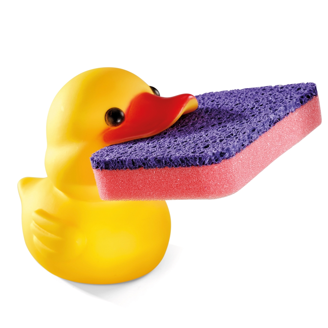 Canard porte-éponge
