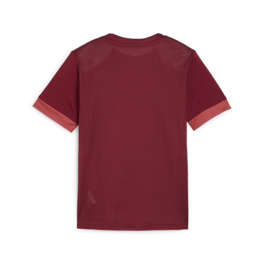 PUMA T-shirt d'Entraînement teamGOAL - Bordeaux/Blanc Enfant