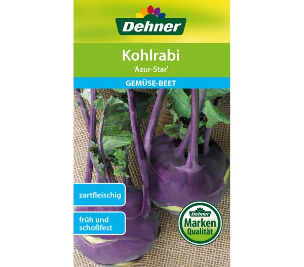 Dehner Samen Kohlrabi 'Azur-Star'