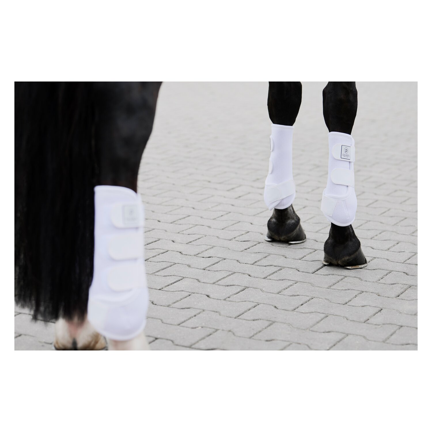 ESKADRON Platinum Gamaschen Pro Dressage  - white