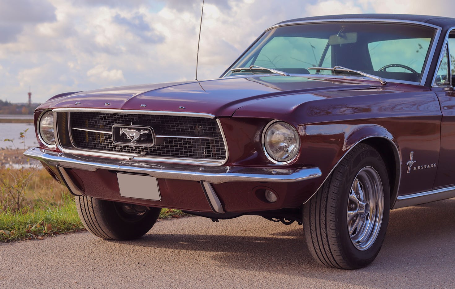 Ford Mustang mieten Wees