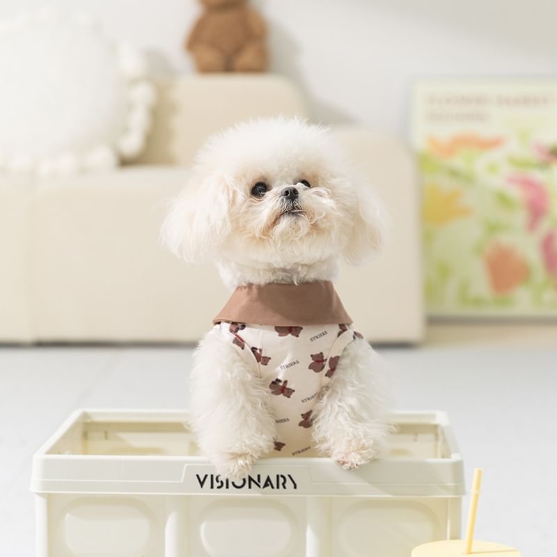 2 nachten - Bear Pet Top