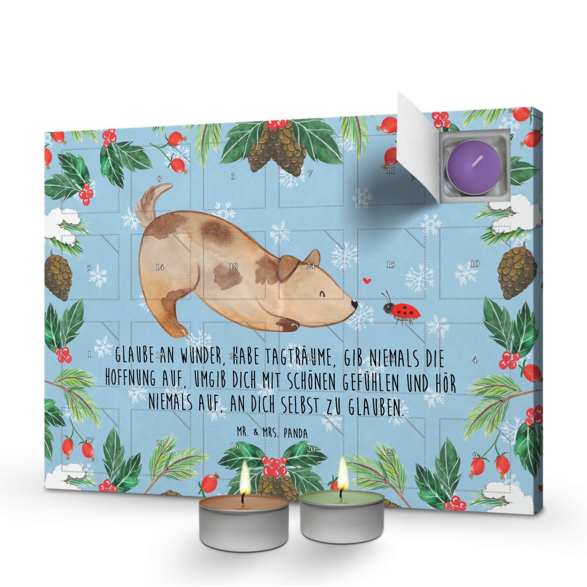 Mr. & Mrs. Panda Geurkaars Adventskalender Hond Lieveheersbeestje - Pastelblauw