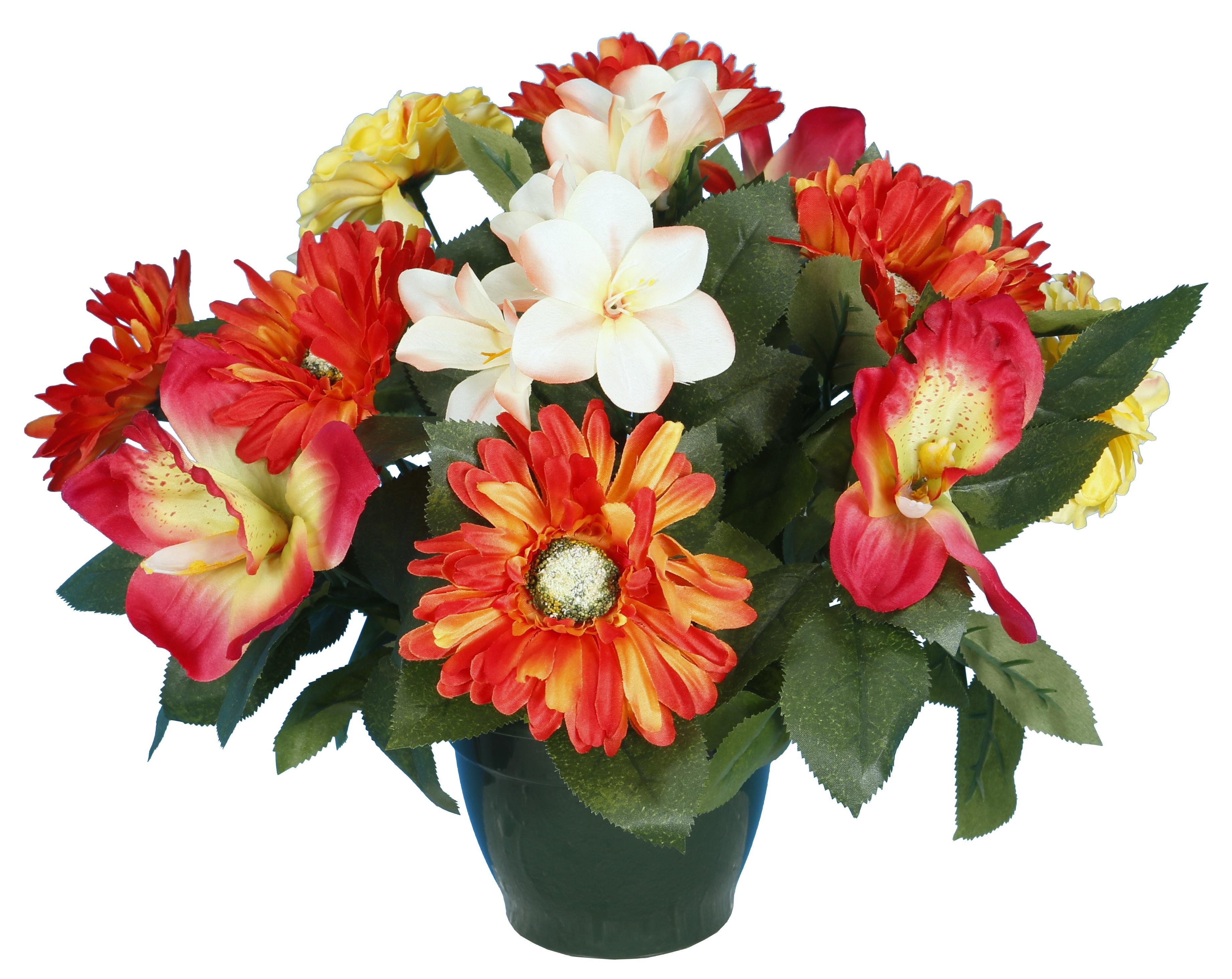 POT ZINIAS ORCHIDEES GERBERAS