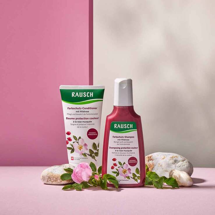 Rausch Farbschutz-Conditioner mit Wildrose, 30 ml