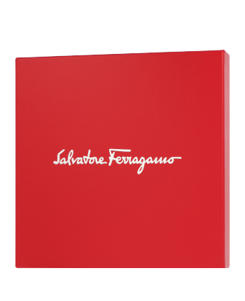 Salvatore Ferragamo Uomo Signature Set mit Shower Gel & Mini EdP 100ml-10ml-100ml