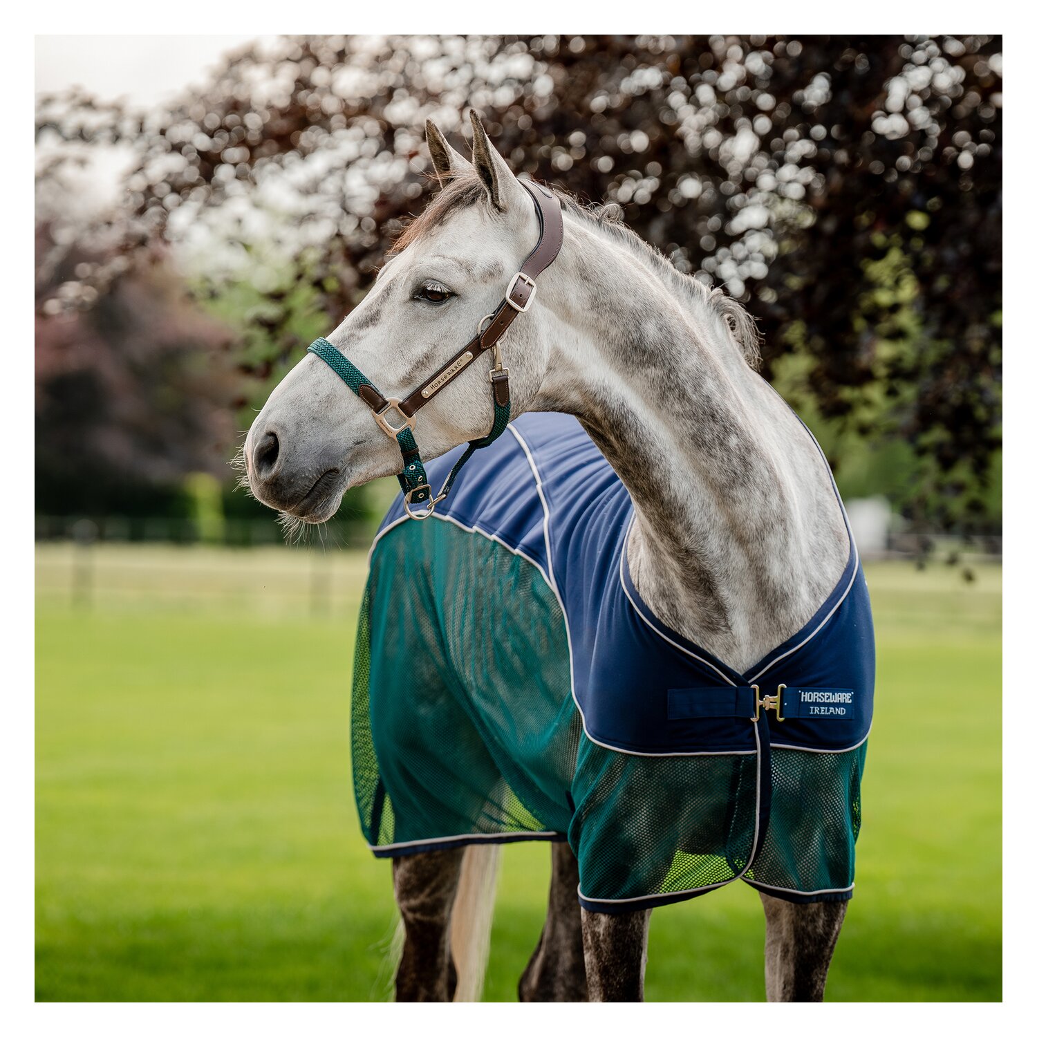 HORSEWARE Signature Hybrid-Abschwitzdecke Sport Cooler  - navy/hunter green & silver
