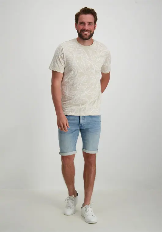 ONLY & SONS T-shirt Vail 22030730
