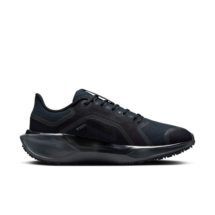 Nike Dame Løbesko Pegasus 41 Gore-Tex Sort