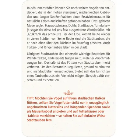 moses. Blatt & Blüte Vogelglück - 50 Tipps
