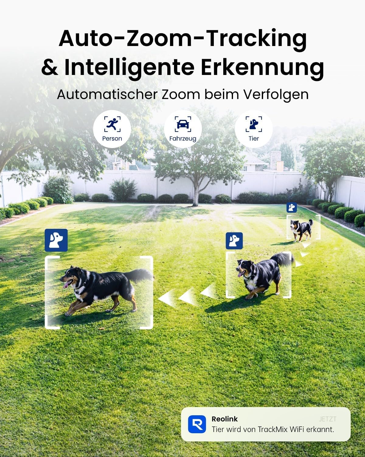 Reolink 4K 8MP Wi-Fi 6 PTZ Überwachungskamera Aussen WLAN mit Auto-Tracking-Zoom, Dual-Objektiv, Dual-Ansicht, WLAN Kamera Outdoor mit Smart-Erkennung, Farbnachtsicht, Außenkamera, TrackMix WiFi Grau