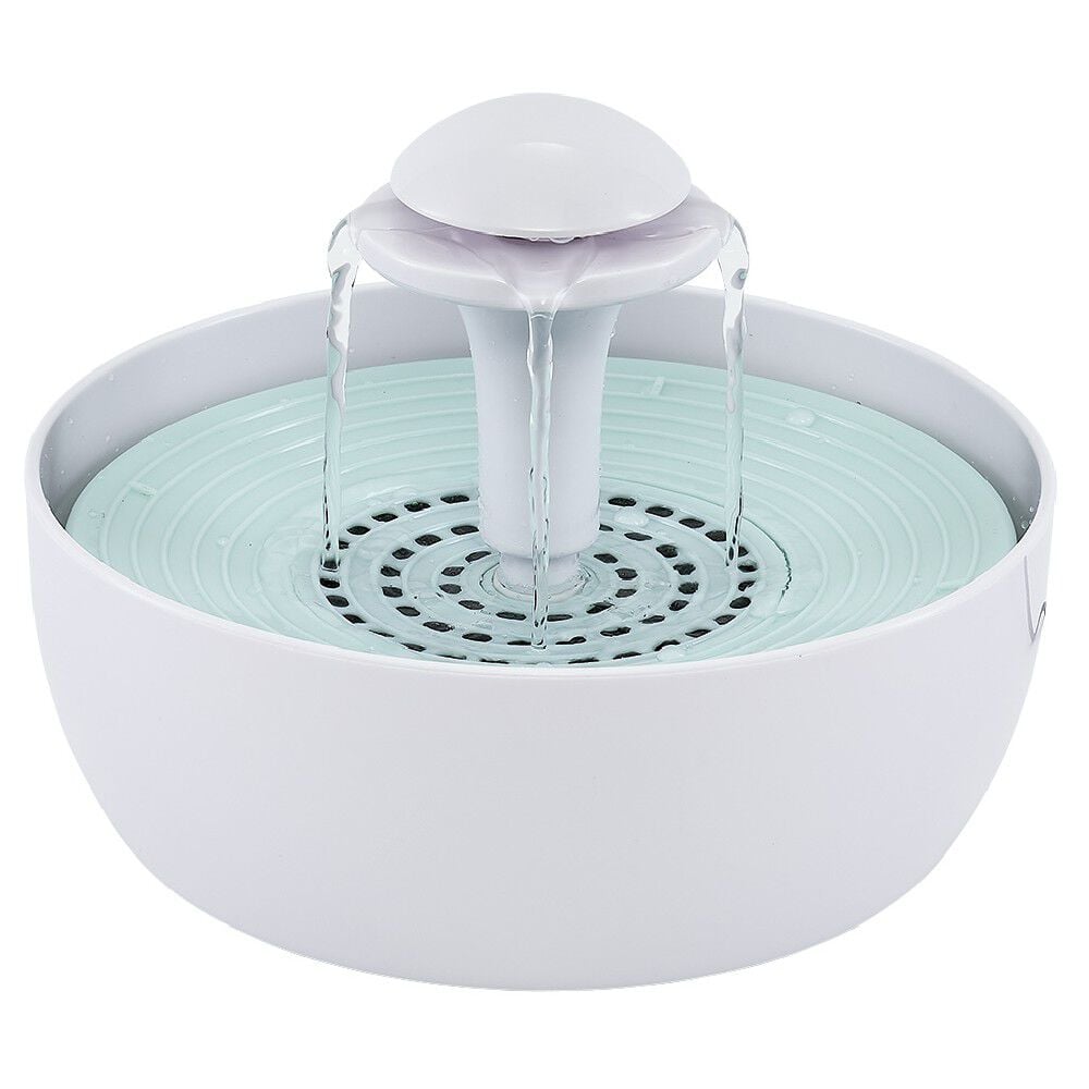 Fontaine à eau pour chat