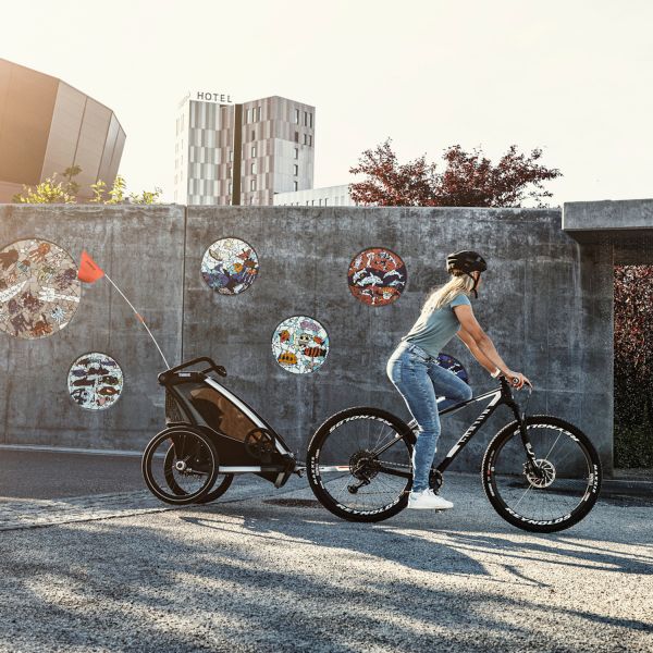 Thule Chariot Lite 2 Fietskar Agave