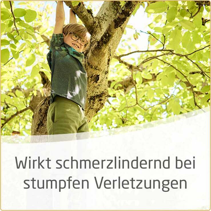 Arnika-Salbe 30% zur Behandlung stumpfer Verletzungen, 25 g