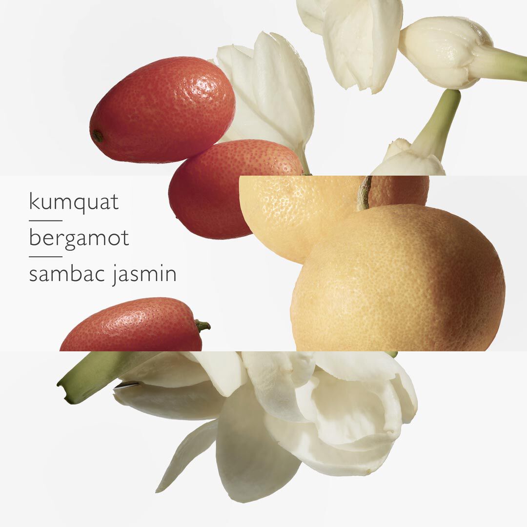Hermès COLEÇÃO PARFUMS-JARDINS Le Jardin de Monsieur Li Eau de Toilette - 50ml