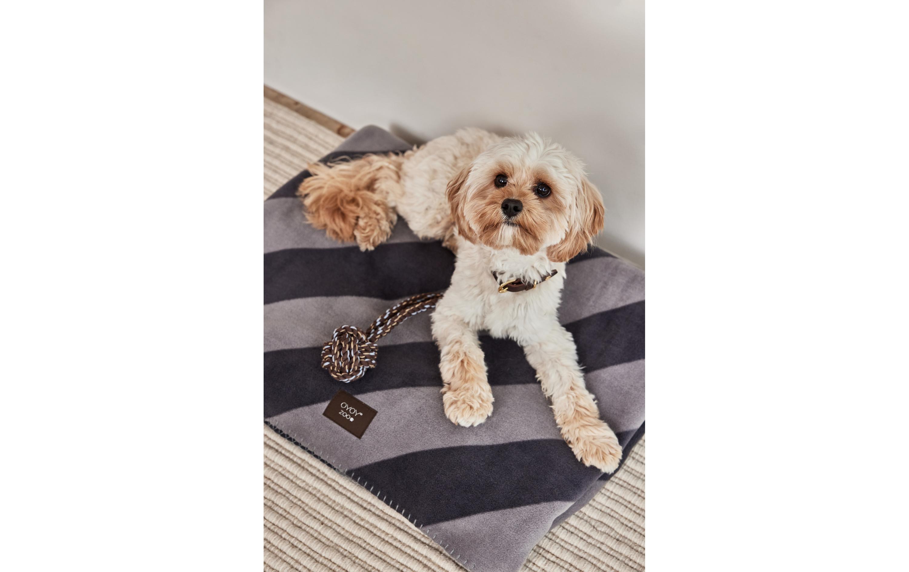 Hunde-Decke Kaya, S, SchwarzDecke