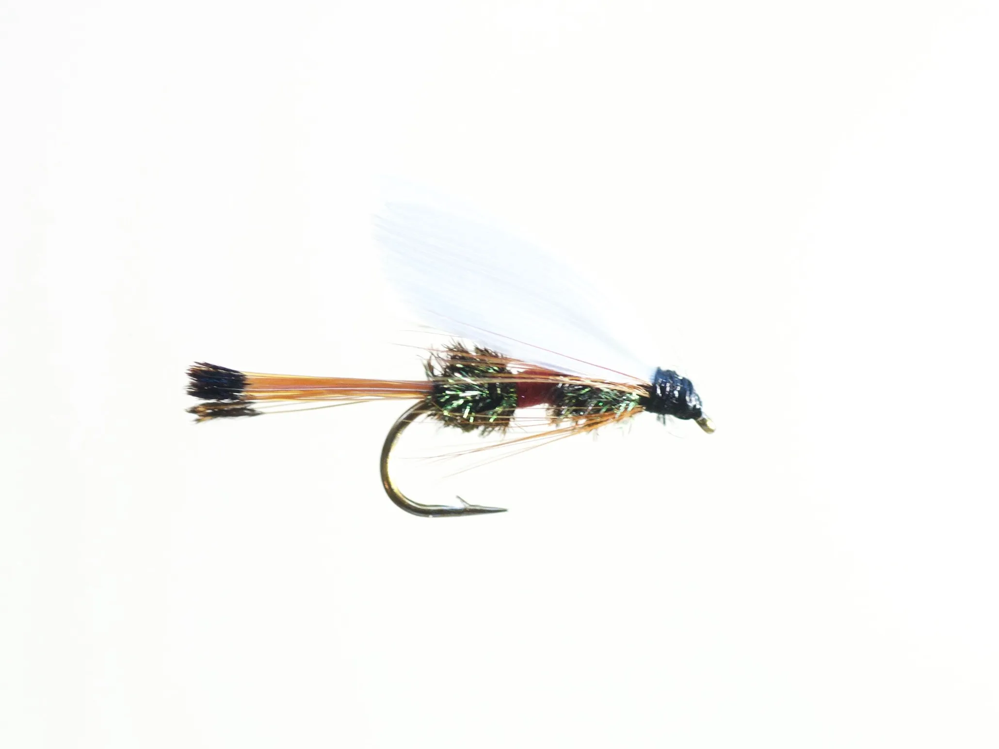 Xstream Royal Coachman Royal Coachman