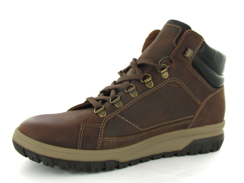 Mephisto Pitt Bruin